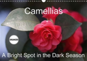 Camellias A Bright Spot in the Dark Season 2018