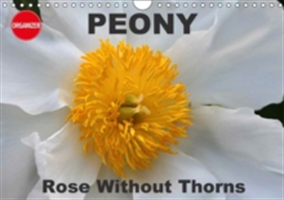 Peony Rose Without Thorns 2018