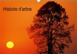 Histoire D'arbre 2018