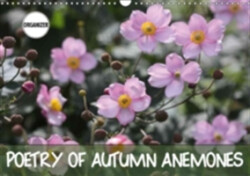 Poetry of Autumn Anemones 2018