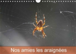 Nos Amies Les Araignees 2018