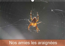 Nos Amies Les Araignees 2018