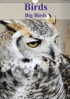 Birds Big Birds 2018