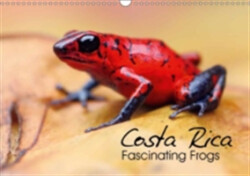 Costa Rica - Fascinating Frogs 2018