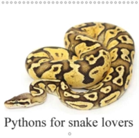 Pythons for Snake Lovers 2018