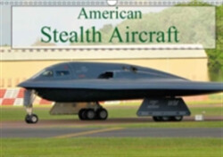 American Stealth Aircraft 2018