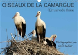 Oiseaux De La Camargue: L'estuaire Du Rhone 2018