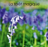 Foret Magique 2018