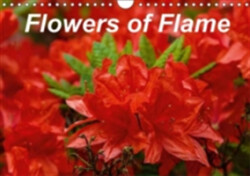 Flowers of Flame 2018