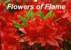 Flowers of Flame 2018