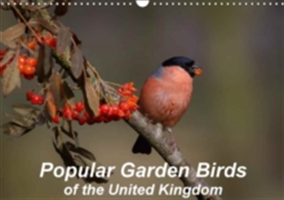 Popular Garden Birds of the United Kingdom 2018