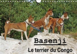 Basenji Le Terrier Du Congo 2018