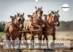 Agriculture, Images D'antan 2018