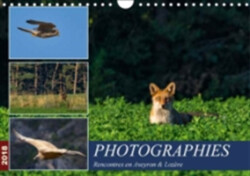 Photographies Rencontres En Aveyron & Lozere 2018