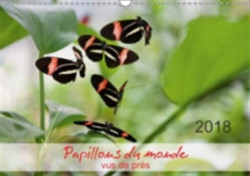 Papillons Du Monde, Vus De Pres 2018