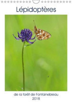 Lepidopteres De La Foret De Fontainebleau 2018