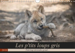 P'tits Loups Gris 2018