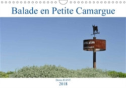 Balade En Petite Camargue 2018
