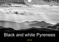 Black and White Pyrenees 2018
