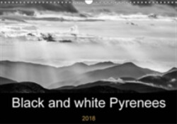 Black and White Pyrenees 2018