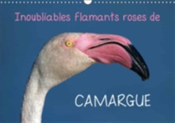 Inoubliables Flamants Roses De Camargue 2018