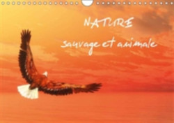 Nature Sauvage Et Animale 2018