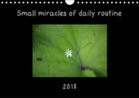 Small Miracles of Daily Routine 2018