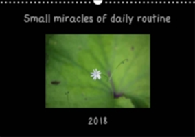 Small Miracles of Daily Routine 2018