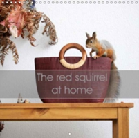 Red Squirrel at Home 2018