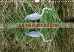 Heron Cendre 2018