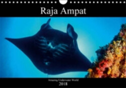 Raja Ampat - Amazing Underwater World 2018