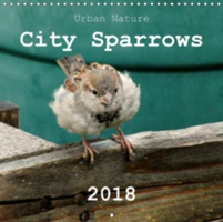 City Sparrows 2018