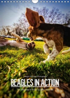 Beagles in Action 2018