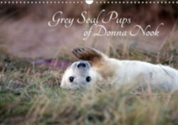 Grey Seal Pups of Donna Nook 2018