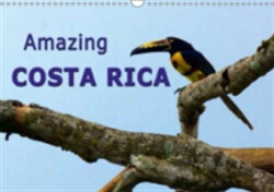 Amazing Costa Rica 2018