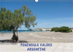 Peninsule Valdes - Argentine 2018