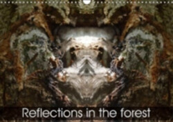 Reflections in the Forest 2018