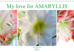 My love for AMARYLLIS (Wall Calendar 2021 DIN A4 Landscape)