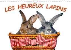 Les heureux lapins (Calendrier mural 2023 DIN A4 horizontal)