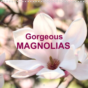 Gorgeous Magnolias (Wall Calendar 2023 300 × 300 mm Square)