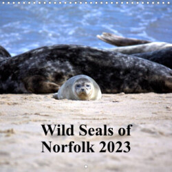 Wild Seals of Norfolk (Wall Calendar 2023 300 × 300 mm Square)