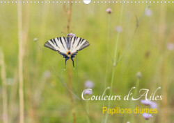 Couleurs d'Ailes (Calendrier mural 2023 DIN A3 horizontal)