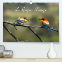 Le Guêpier d'Europe - Merops Apiaster (Premium, hochwertiger DIN A2 Wandkalender 2023, Kunstdruck in Hochglanz)