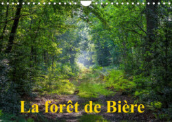 La forêt de Bière (Calendrier mural 2023 DIN A4 horizontal)