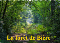 La forêt de Bière (Calendrier mural 2023 DIN A3 horizontal)