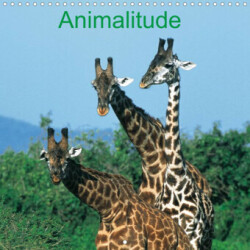 Animalitude (Calendrier mural 2023 300 × 300 mm Square)