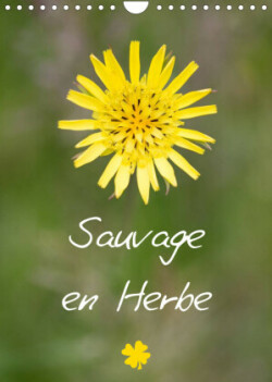 Sauvage en herbe (Calendrier mural 2023 DIN A4 vertical)