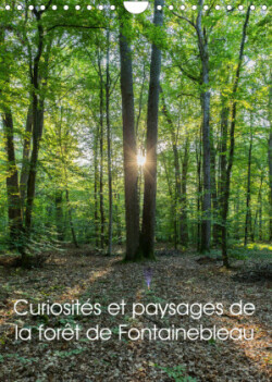 Curiosités et paysages de la forêt de Fontainebleau (Calendrier mural 2023 DIN A4 vertical)