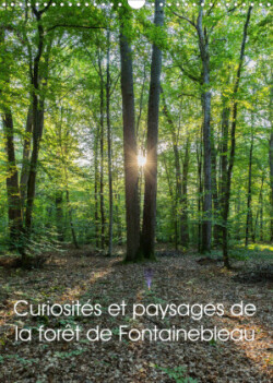 Curiosités et paysages de la forêt de Fontainebleau (Calendrier mural 2023 DIN A3 vertical)