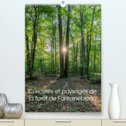 Curiosités et paysages de la forêt de Fontainebleau (Premium, hochwertiger DIN A2 Wandkalender 2023, Kunstdruck in Hochglanz)
